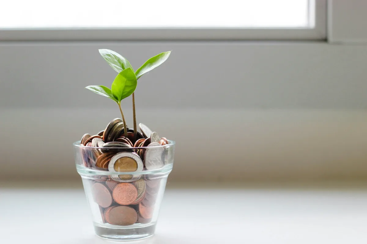 Por qué es necesario invertir: brote verde creciendo en un vaso con monedas